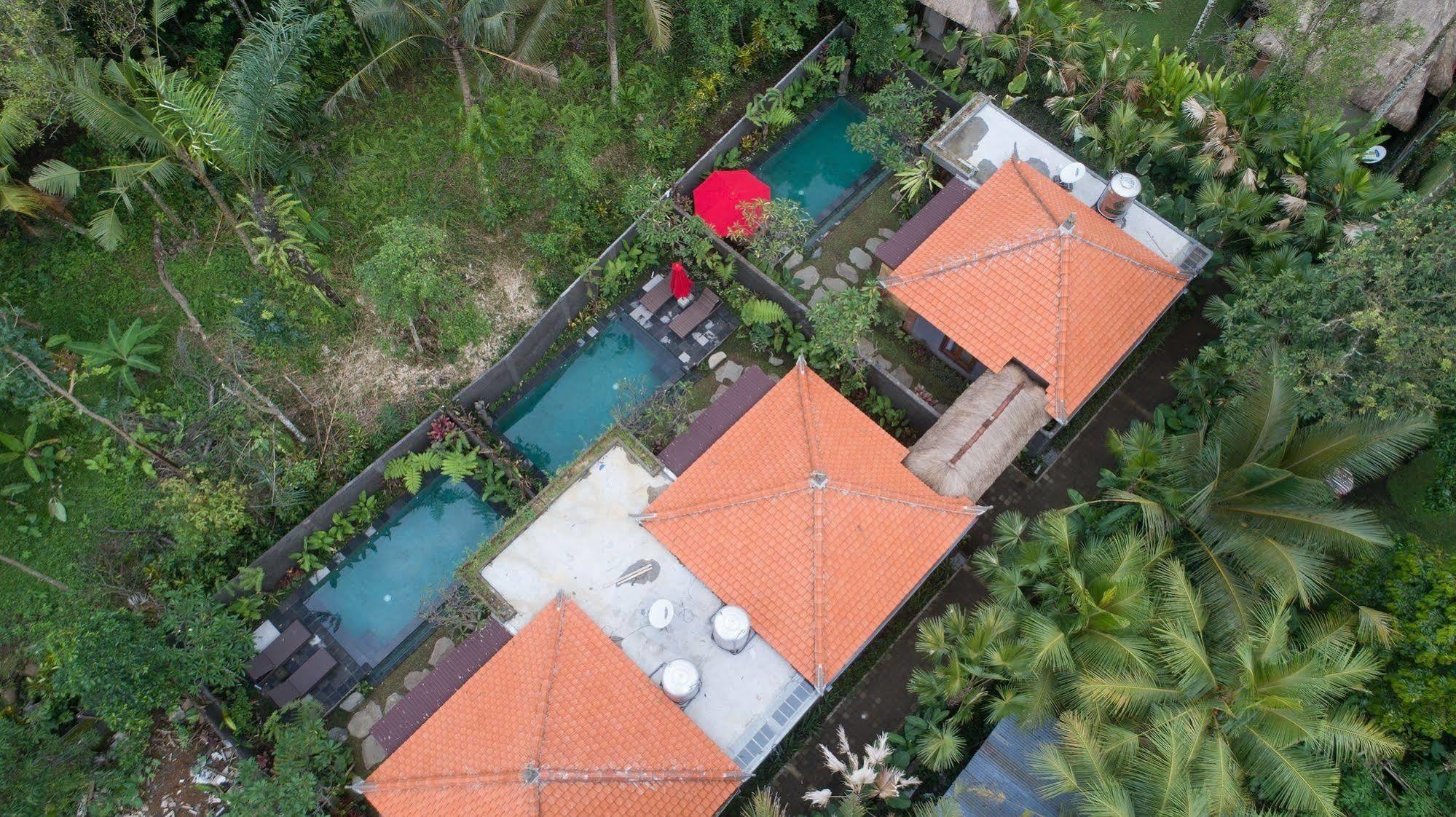 Bunut Garden Luxury Private Villa Ubud  Luaran gambar